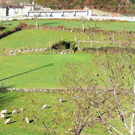Villa Campo Seco à Vieira do Minho Extérieur photo
