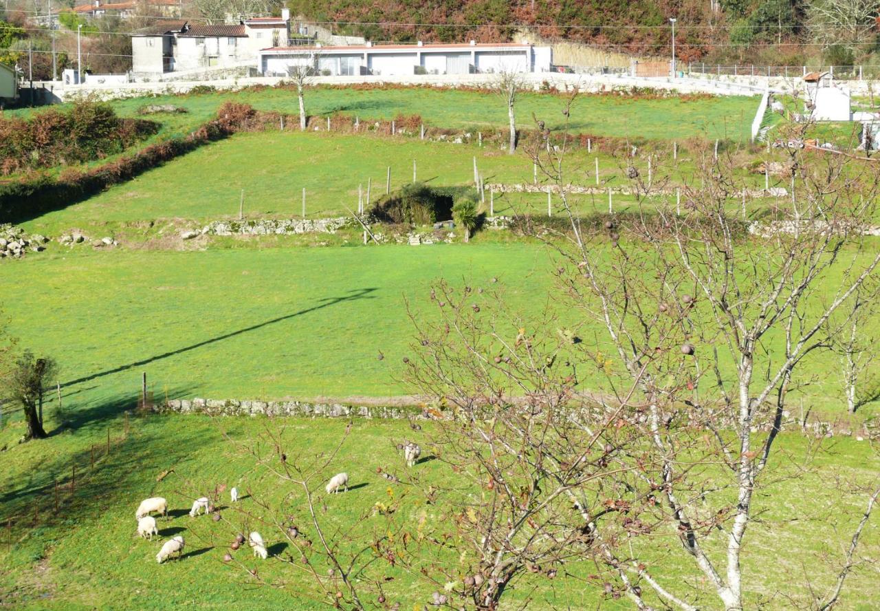 Villa Campo Seco à Vieira do Minho Extérieur photo